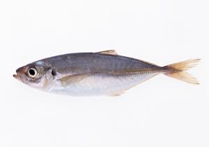 信濃屋のワインが高品質なわけとは